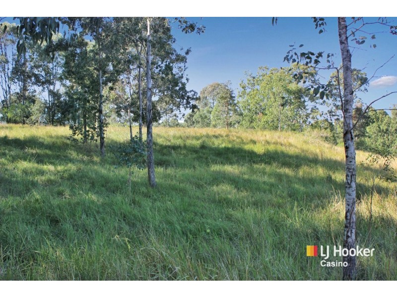 800 Ellangowan Road, Yorklea NSW 2470