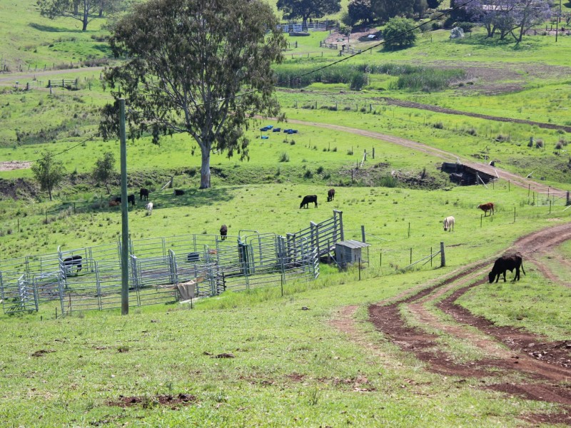 464 Dunns Road, Doubtful Creek NSW 2470