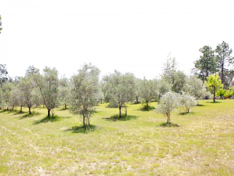 7000 Bruxner Highway, Drake NSW 2469