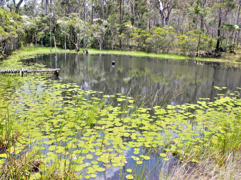 7000 Bruxner Highway, Drake NSW 2469