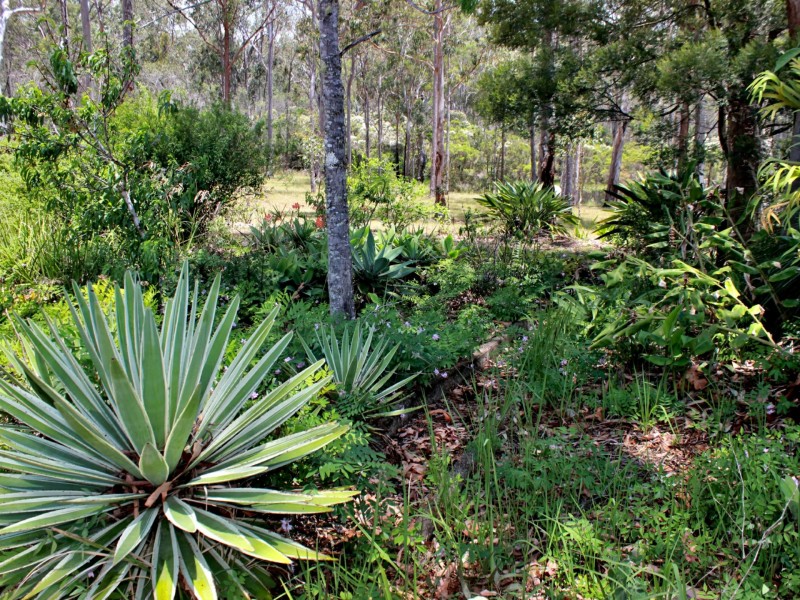 7000 Bruxner Highway, Drake NSW 2469