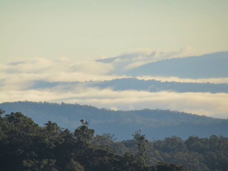 431 Long Gully Rd, Drake NSW 2469