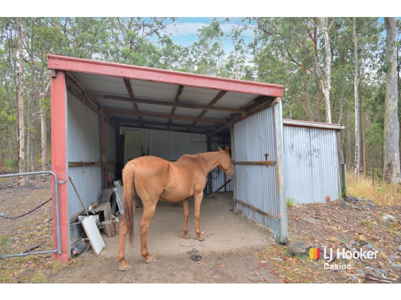 431 Long Gully Rd, Drake NSW 2469