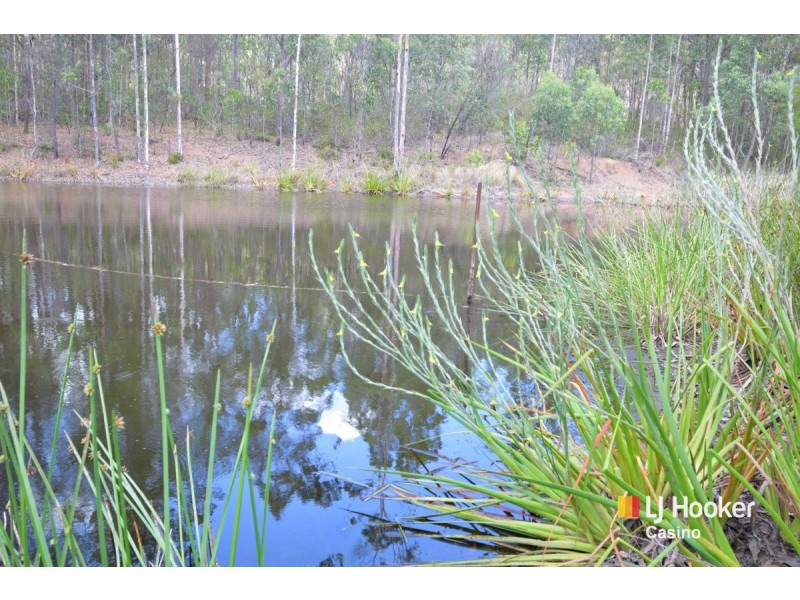 572 Old Lawrence Road, Mallanganee NSW 2469