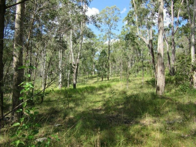 Lot 17 Jenny Lind Lane, Tabulam NSW 2469