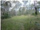 Lot 17 Jenny Lind Lane, Tabulam NSW 2469