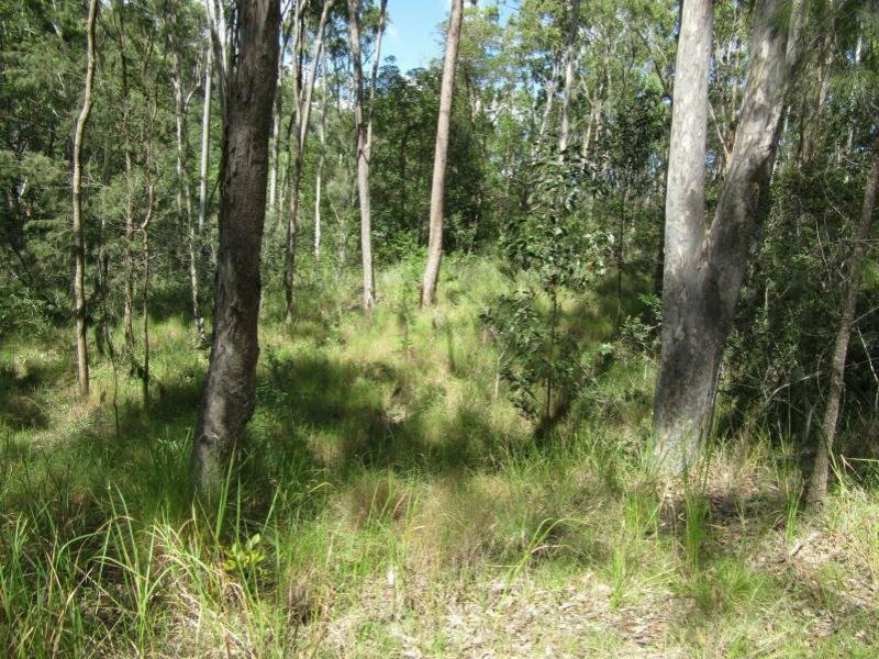 Lot 17 Jenny Lind Lane, Tabulam NSW 2469