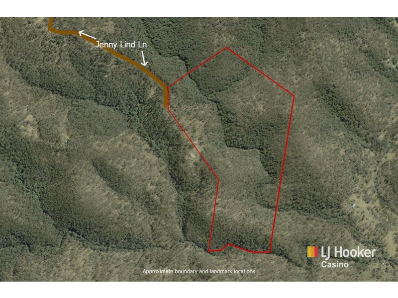 Lot 17 Jenny Lind Lane, Tabulam NSW 2469 Floorplan