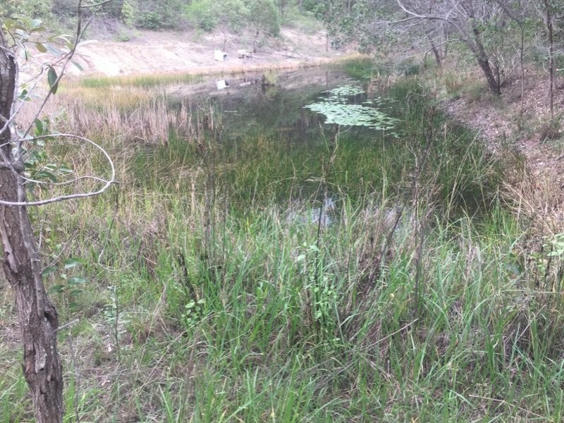 1369 Paddys Flat Road, Tabulam NSW 2469