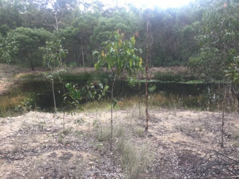 1369 Paddys Flat Road, Tabulam NSW 2469