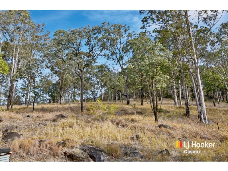 528 Plains Station Road, Tabulam NSW 2469