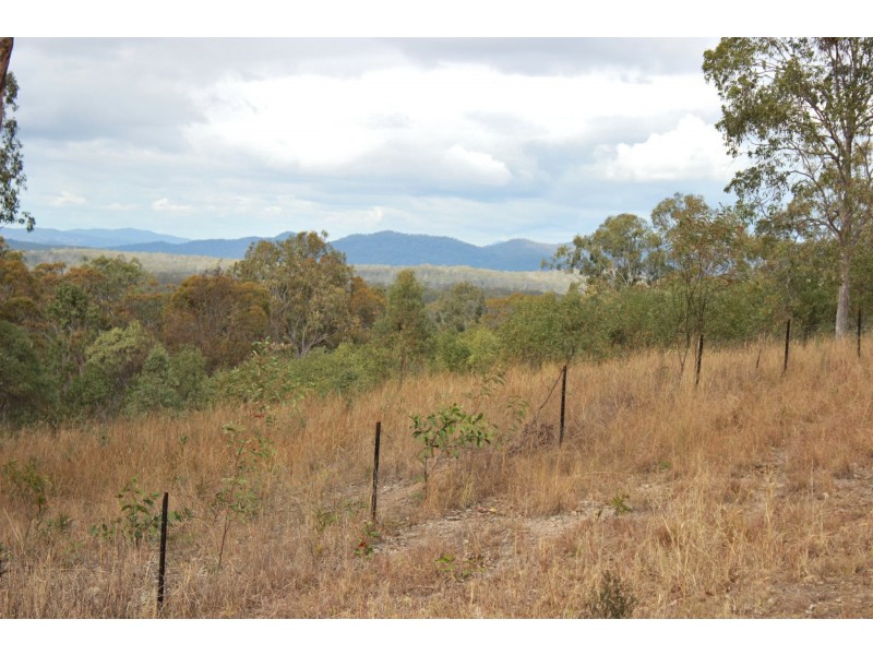 185 Bulldog Road, Bulldog NSW 2469