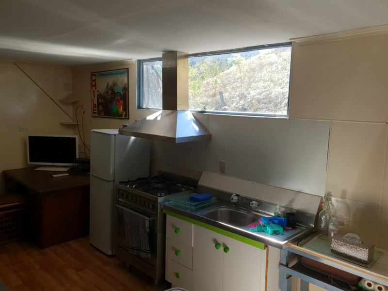 913 Long Gully Road, Drake NSW 2469