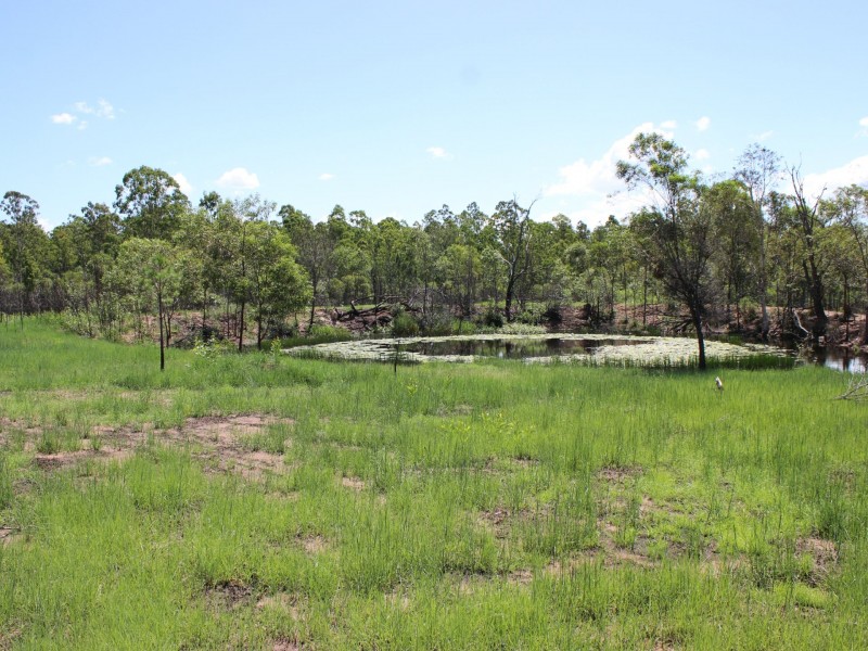 Lot 43 Brewers Road, Kippenduff NSW 2469