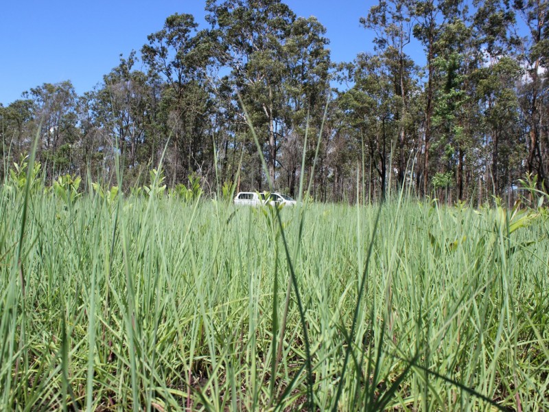 Lot 43 Brewers Road, Kippenduff NSW 2469