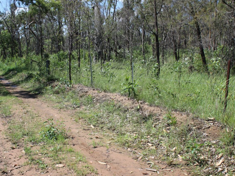 Lot 43 Brewers Road, Kippenduff NSW 2469