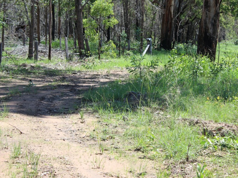 Lot 43 Brewers Road, Kippenduff NSW 2469