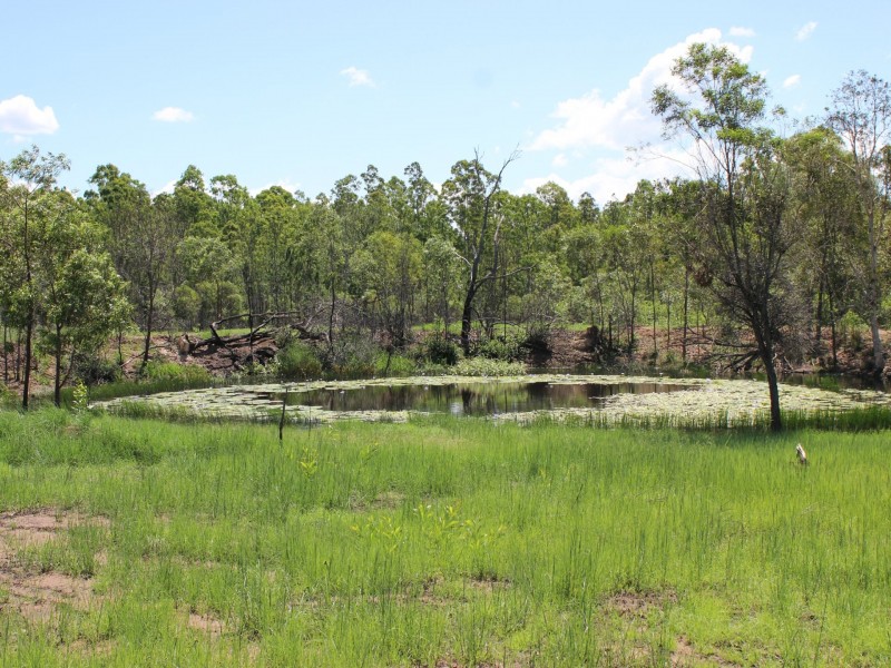 Lot 43 Brewers Road, Kippenduff NSW 2469