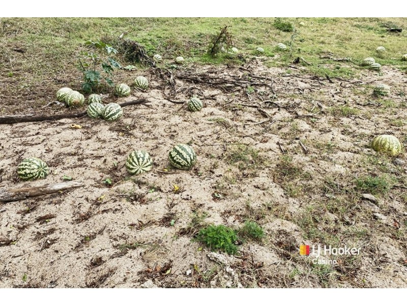 Lot 121 Ogilvie Drive, Tabulam NSW 2469