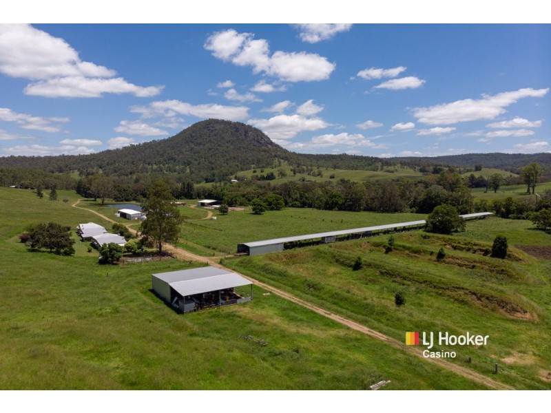520 Capeen Creek Road, Old Bonalbo NSW 2469