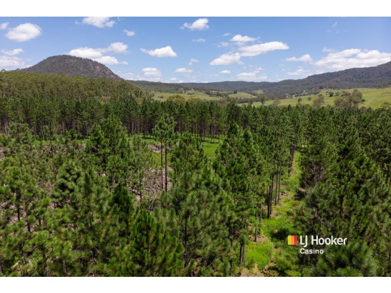 520 Capeen Creek Road, Old Bonalbo NSW 2469