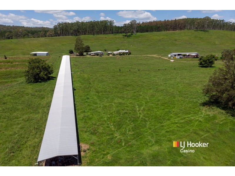 520 Capeen Creek Road, Old Bonalbo NSW 2469