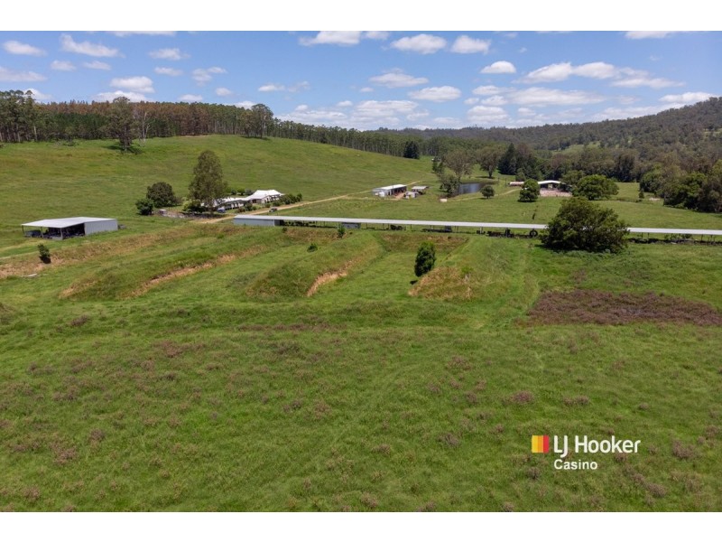 520 Capeen Creek Road, Old Bonalbo NSW 2469
