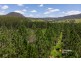 520 Capeen Creek Road, Old Bonalbo NSW 2469