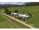 520 Capeen Creek Road, Old Bonalbo NSW 2469