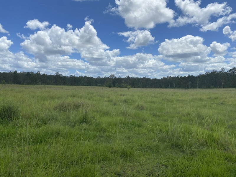 465 Ellangowan Myrtle Creek Road, Ellangowan NSW 2470