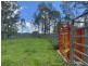 465 Ellangowan Myrtle Creek Road, Ellangowan NSW 2470