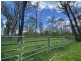 465 Ellangowan Myrtle Creek Road, Ellangowan NSW 2470