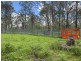 465 Ellangowan Myrtle Creek Road, Ellangowan NSW 2470
