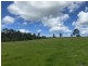 465 Ellangowan Myrtle Creek Road, Ellangowan NSW 2470