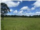 465 Ellangowan Myrtle Creek Road, Ellangowan NSW 2470