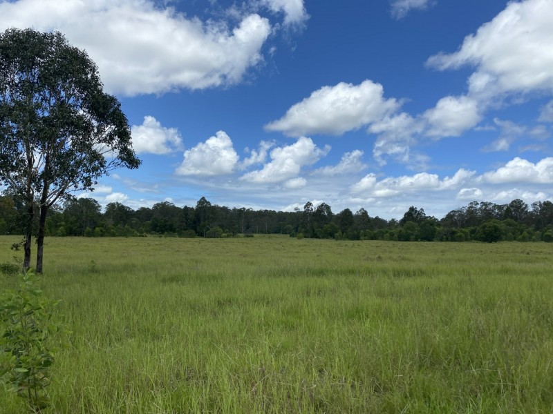 465 Ellangowan Myrtle Creek Road, Ellangowan NSW 2470
