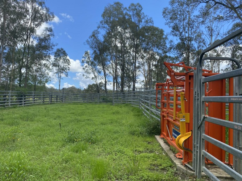 465 Ellangowan Myrtle Creek Road, Ellangowan NSW 2470