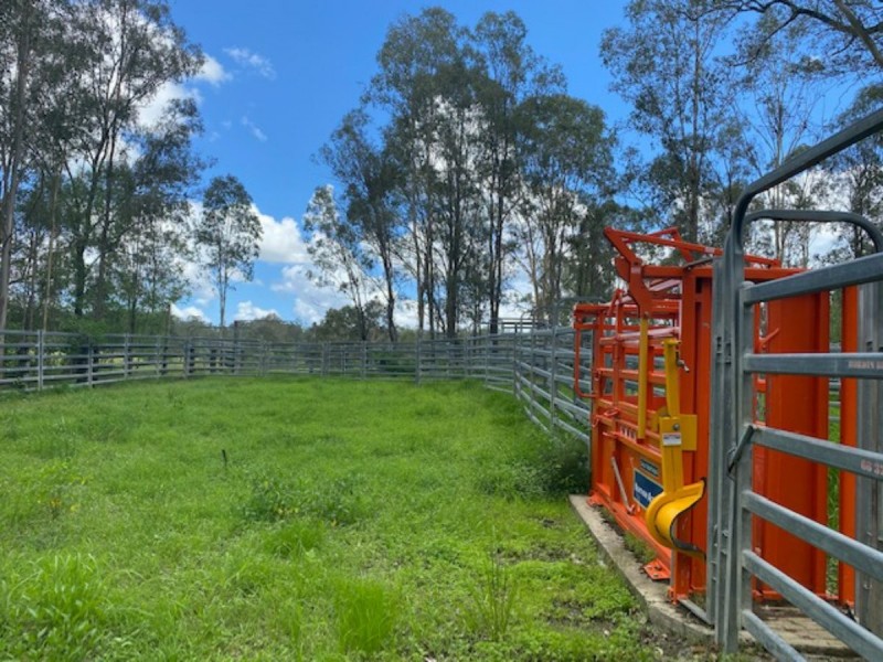 465 Ellangowan Myrtle Creek Road, Ellangowan NSW 2470