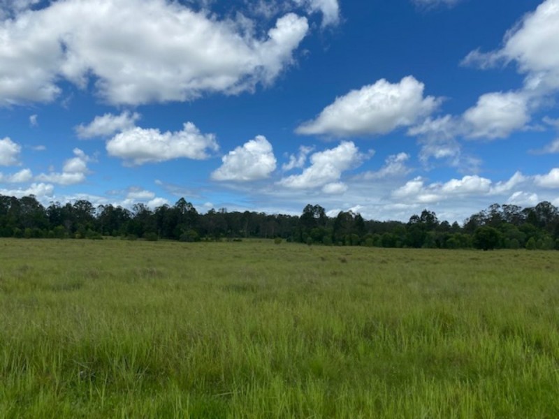 465 Ellangowan Myrtle Creek Road, Ellangowan NSW 2470