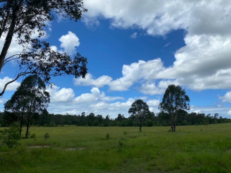 465 Ellangowan Myrtle Creek Road, Ellangowan NSW 2470