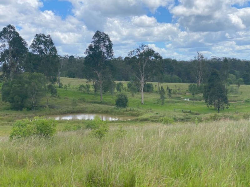 465 Ellangowan Myrtle Creek Road, Ellangowan NSW 2470