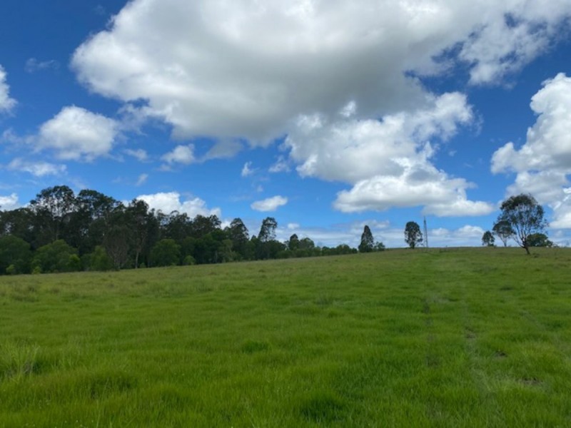 465 Ellangowan Myrtle Creek Road, Ellangowan NSW 2470