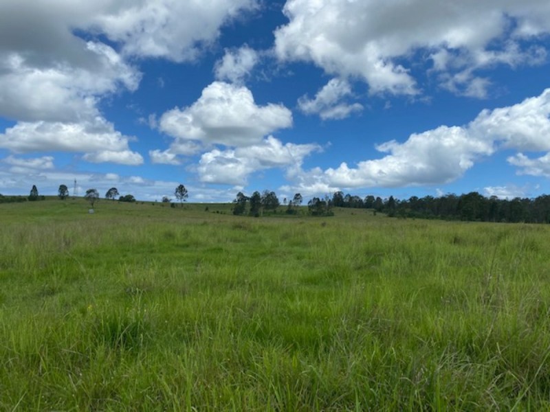 465 Ellangowan Myrtle Creek Road, Ellangowan NSW 2470