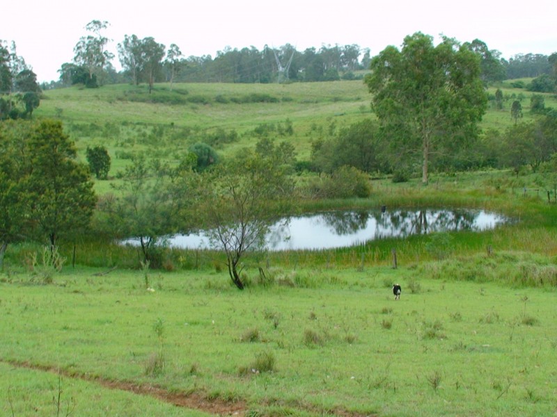 465 Ellangowan Myrtle Creek Road, Ellangowan NSW 2470