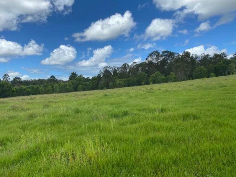 465 Ellangowan Myrtle Creek Road, Ellangowan NSW 2470