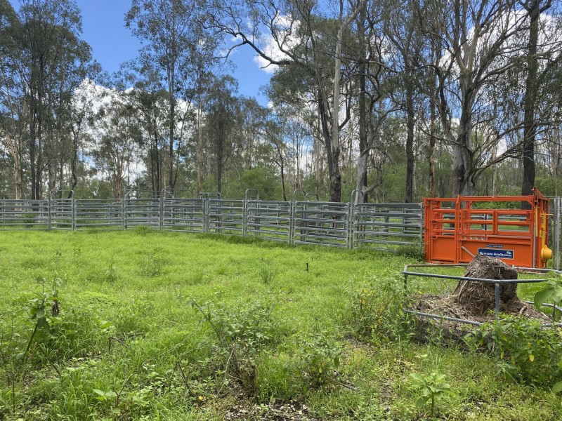 465 Ellangowan Myrtle Creek Road, Ellangowan NSW 2470