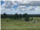 465 Ellangowan Myrtle Creek Road, Ellangowan NSW 2470