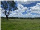 465 Ellangowan Myrtle Creek Road, Ellangowan NSW 2470