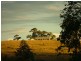 465 Ellangowan Myrtle Creek Road, Ellangowan NSW 2470
