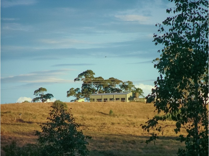 465 Ellangowan Myrtle Creek Road, Ellangowan NSW 2470